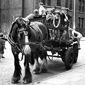 Children riding on horse and cart