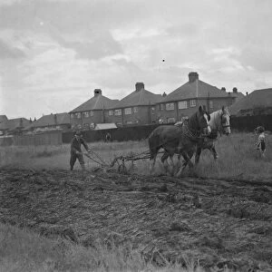 Children watch a farmer and his horse team ploughing a field in New Eltham, London