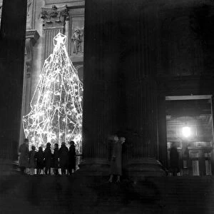 Christmas, 1935. Christmas trees in the Portico of St Pauls Cathedral. 14 December
