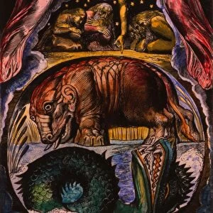 The demon-forms of Behemoth and Leviathan as visualized by William Blake in his Illustration