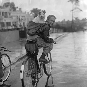 Have dog, will travel. A boy riding a bike with his dog on his back in a rucksack