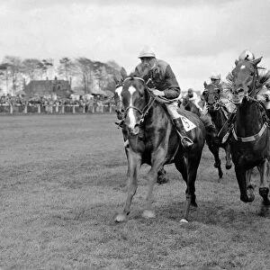 Epsom Spring Meeting. Light Sussex ( left ) and Play On Fighting it out