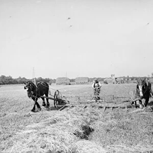 Farm workers in Farningham with his horse team collect hay. 1935