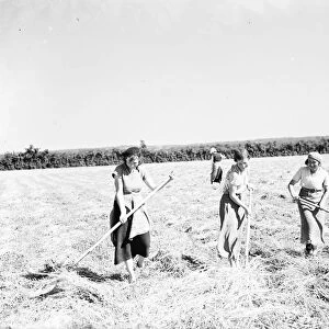 Farm workers in Farningham making hay. 1935