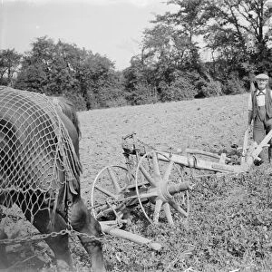 A farmer and his horse team plough a field in Kent. 1935