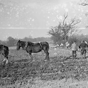 A farmer and his horse team ploughing a field, take a break to watch cross country