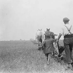 A farmer and his team of horse team plough a field in Kingsdown, Kent. A boy follows