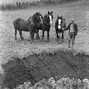A farmer with a team of horses examine the site where subsidence has taken place
