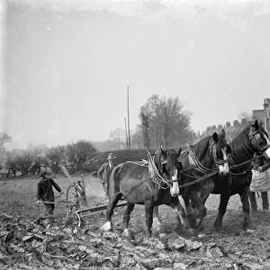 A farmer and his team of horses plough a field in Sidcup, Kent. 1936