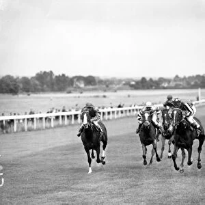 The finish of the Rose Stakes at Sandown Park today. First is FAir Set, withs Clayton up