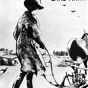 First World War War Poster : National Service - Womans Land Army