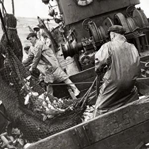 Fishermen on board a trawler in the North Sea