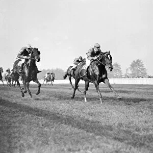 Gatwick racecourse, Sussex, England. Mr P Johnsons Tidebrook ( ridden by R Perryman )