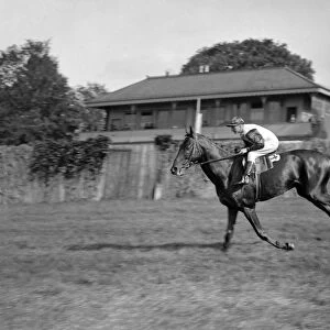 Gatwick racecourse, West Sussex, England The racehorse Chrysler II ( ridden