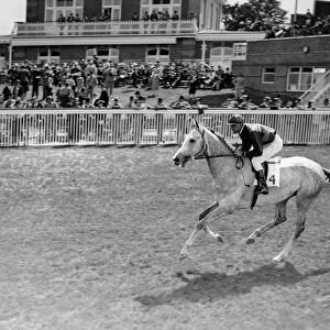 Goodwood Sussex England Hurry De Savoie 1938 A TopFoto