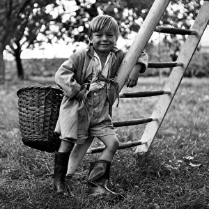 Graham Head aged 4 of Bunham, near Rochester, Kent, travels the Kentish orchards