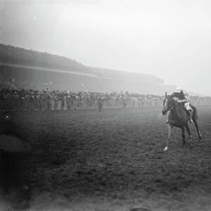 The Grand National at Aintree Racecourse, Liverpool. Sergeant Murphy coming home to win