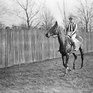 The Grand National at Liverpool. Mr Wideners Duettiste, ( A Escott up )