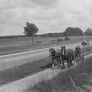 Grass cutting in Chelsfield, Kent, using a horse drawn mower. 1936