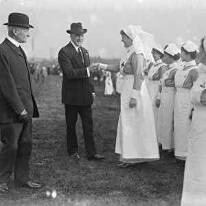 On the Grass of Drumbeg Sir Edward Carson Inspecting the Red Cross Nurses
