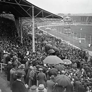Greyhound race meeting at the White City. A portion of the crowd watching the parade