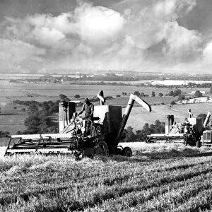 Harvest time on the South Downs. Combine harvesters at work on the Golden Barn