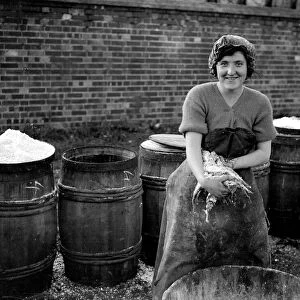 Herring Fishery at Great Yarmouth, Norfolk, England. Fisher girl gutting the herring