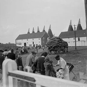 Hop Kilns in Kent. 1935