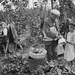 Hop pickers in East Peckham. Young and old helping in the hop field. 1 September 1938