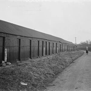 Hop pickers huts in Swanley, Kent. 1939