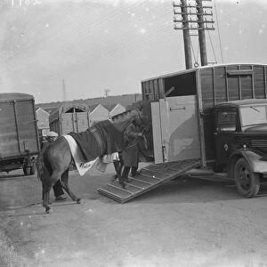 A horse is being led into a Bedford truck horse box. 1936
