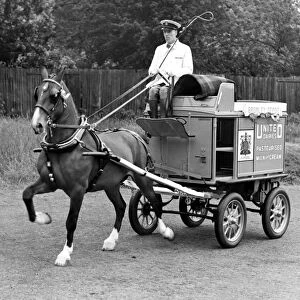 Immaculate display of a milkman and his horse at an agricultural show in the 1950 s