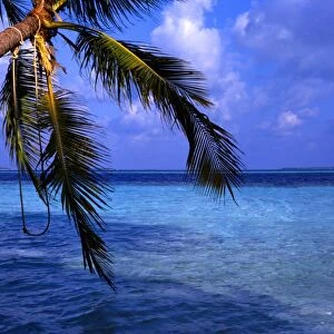 The island of Little Bandos, on the Maldives. An identical scene is available in