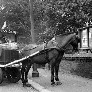 John Topham Showcase in Sidcup - Main Road and horse drawing cart for the Express Dairy