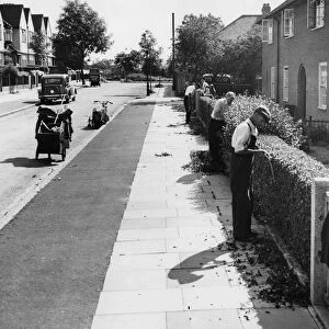 If you live in Downham, Kent in a council house, hedges are cut free of charge. photograph
