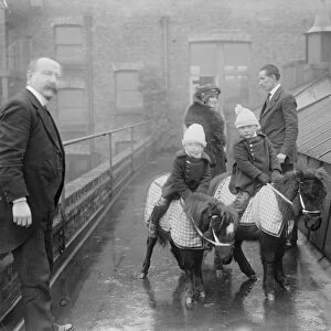 Live toys at Derry and Toms Shetland Ponies at ?15 24 November 1919