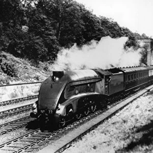 The Mallard, the fastest train in the world July 1988