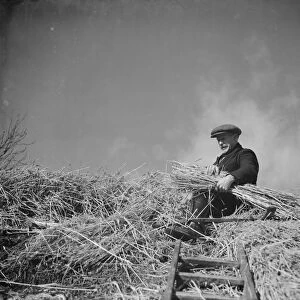 A man with a bundle of thatch in his arms works on the thatching on the roof of a