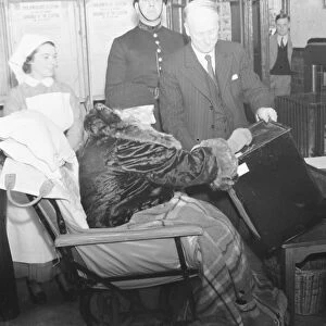 May, Countess of Limerick casting her vote in the Dartford by - election, as P