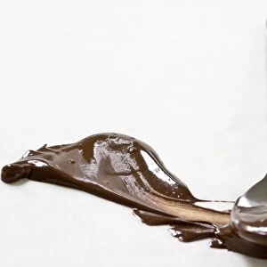 Melted chocolate smeared across white surface with a spoon leaving a plume shape