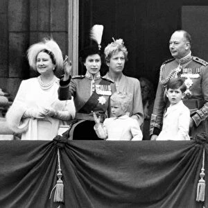 Members of the royal family on the balcony at Buckingham Palace to watch the Royal