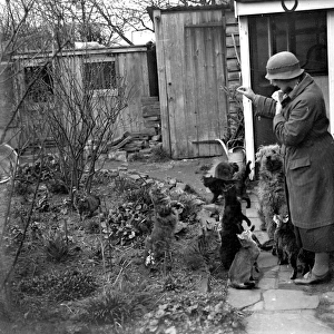 Miss Nancy Rutherford outside the house with her cats and dogs. 1934