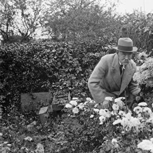 Mr Baxter in his garden in Sidcup, Kent. 1935