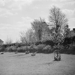 Mr Swans house and garden at 21 Rectory Lane in Sidcup, Kent. 1939