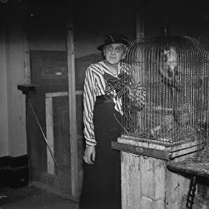 Mrs Alison McLaren Morrison and some of her caged monkeys which she keeps at her
