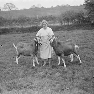Mrs Violet Ashbee with two goats at a goat farm in Birling, Kent. 1939