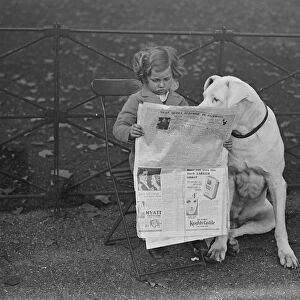 Nero a Great Dane and very well known in Hyde Park, shares a newspaper