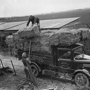 Pattullo Higgs and Co Ltd workers load hay bales onto their company Bedford truck