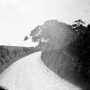 A pheasant flys across a country lane in Gravesend, Kent. 1938