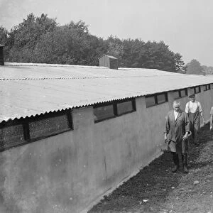 Pig barn, Foots Cray, Kent. 1935